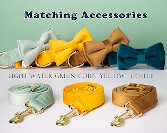 Quick Release Velvet Gold Dog Collar Leash Bowtie Wedding Gift for Medium Dog Owners