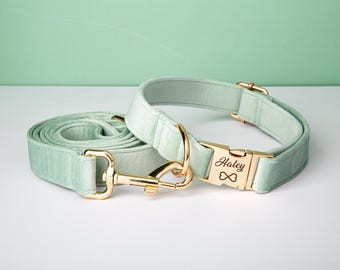 Luxe velvet groen blauw gepersonaliseerde kattenhalsband met vlindersluiting riemset, op maat gemaakte kitten puppy naamlabels, puppy
