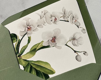Orchid Envelope Liners Add On Bridal Shower Luncheon Wedding Invitations Suite Ivory Engagement Rehearsal - Kelsey Orchid Collection TPC9080