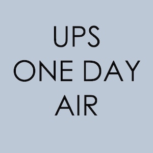 UPS One Day Air Upgrade