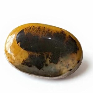 Natural Montana Agate Cabochon Oval Scenic Backlit Gemstone