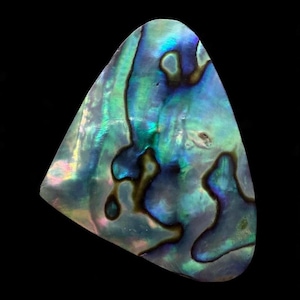 May include: Abalone shell with iridescent colors of blue, green, and purple. The shell has a smooth, polished surface with unique patterns and shapes. The background is solid black, highlighting the shell's natural beauty. The shell is a triangular shape.