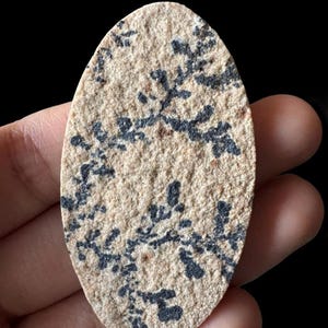 May include: An oval-shaped, beige stone featuring dark grey, branch-like patterns. The stone has a rough, textured surface and is held in a person's hand against a black background. The patterns resemble small, dark tree branches.