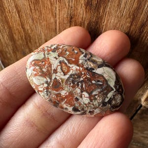 May include: An oval-shaped stone with a unique pattern of red, brown, white, and black. The stone's surface has a textured appearance, with a mix of colors and patterns. The stone is held in a hand, showcasing its size and shape.