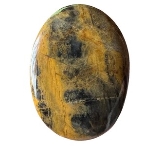 Puede incluir: Un cabujón de piedra preciosa pulida de forma ovalada con un patrón jaspeado de tonos negro profundo y marrón dorado terroso. La superficie presenta un acabado liso y reflectante con vetas naturales visibles e inclusiones minerales.