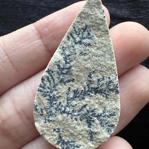 Peut inclure: Une pierre en forme de goutte d'eau avec un fond beige et des motifs noirs en forme de fougère. La pierre est tenue dans une main, mettant en valeur sa texture naturelle et son design unique. Minéral naturel.