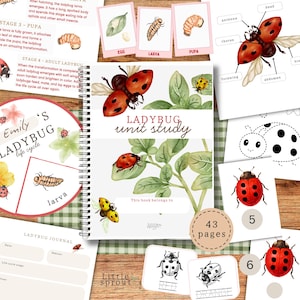 May include: A spiral-bound Ladybug Unit Study workbook with 43 pages, featuring watercolor illustrations of ladybugs on green leaves, educational life cycle diagrams, tracing activities, and counting cards with ladybug graphics and text.
