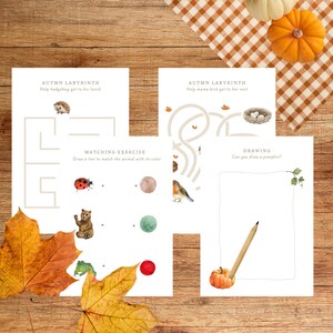 May include: A set of autumn-themed activity sheets with illustrations of a hedgehog, bird, and pumpkin. The sheets include a maze, matching exercise, and drawing prompt. The image is set on a wooden surface with fall leaves and pumpkins.