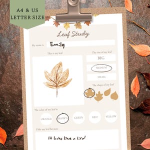 Può includere: Un appunti con un foglio di lavoro sullo studio delle foglie. Il foglio di lavoro include richieste per il nome, le dimensioni, la forma e il colore della foglia. Il nome "Emily" è scritto sul foglio di lavoro. La foglia è marrone e di medie dimensioni.