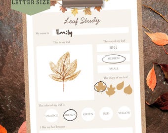 Preschool Leaf Study Printable | Fall Nature Activity | Leaf Identification & Learning for Kids | Early Childhood Education