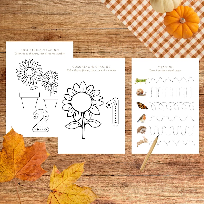 May include: Three white sheets of paper with black line drawings for coloring and tracing. One sheet has sunflowers and the number 2. Another has a sunflower and the number 1. The third sheet has tracing lines and animal illustrations.