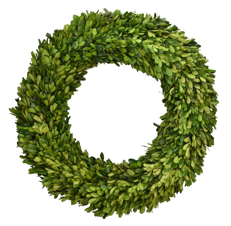 Boxwood Wreath Preserved 20 Inches image 1
