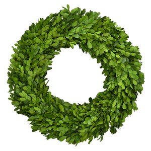 Boxwood Wreath - Preserved - 14 Inches