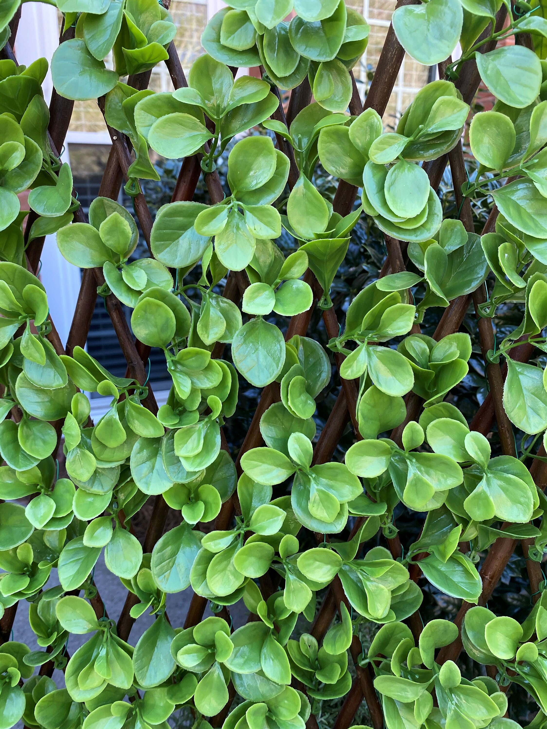 Artificial Greenery Expandable Lattice 39X78 Etsy