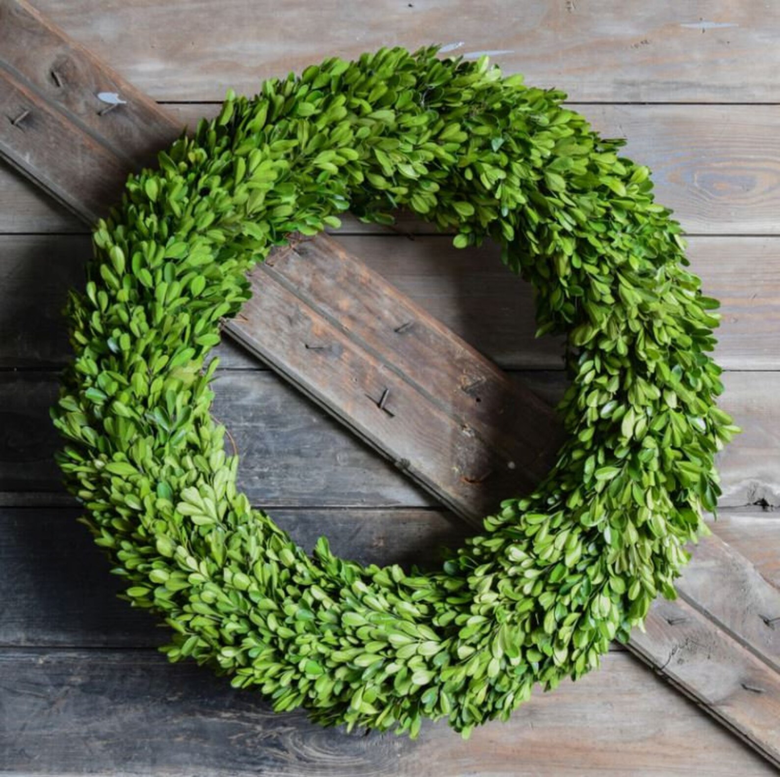 2. Verdant Charm: Delicate Preserved Boxwood Wreath