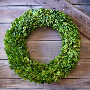 Boxwood Wreath Preserved 20 Inches image 2