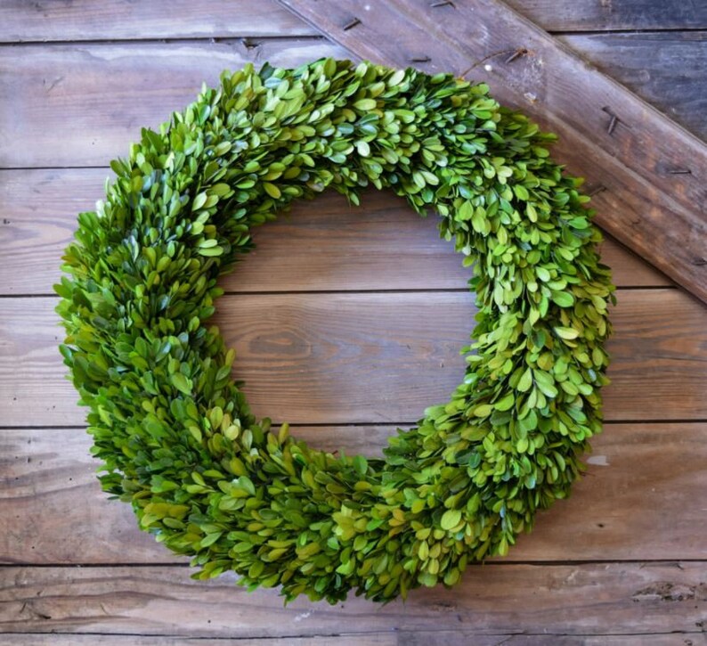 Boxwood Wreath Preserved 20 Inches image 2