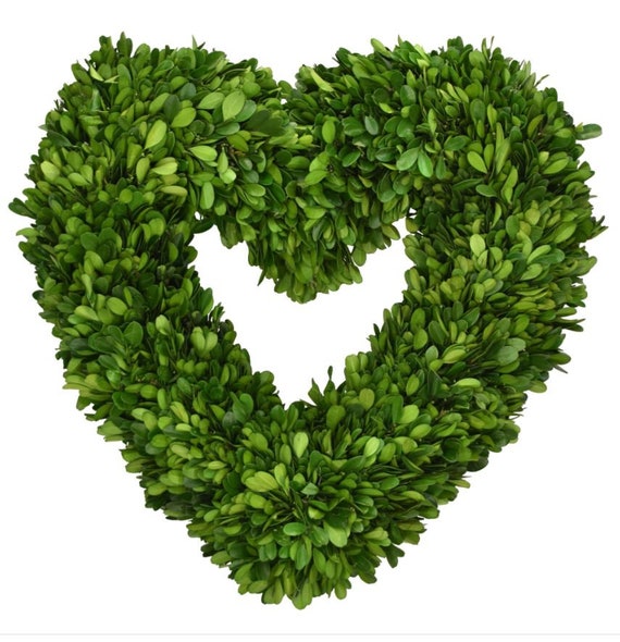 Preserved Boxwood Heart Wreath - 16 Inch