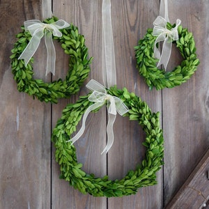 Boxwood Wreaths Set - 6", 8", and 10"