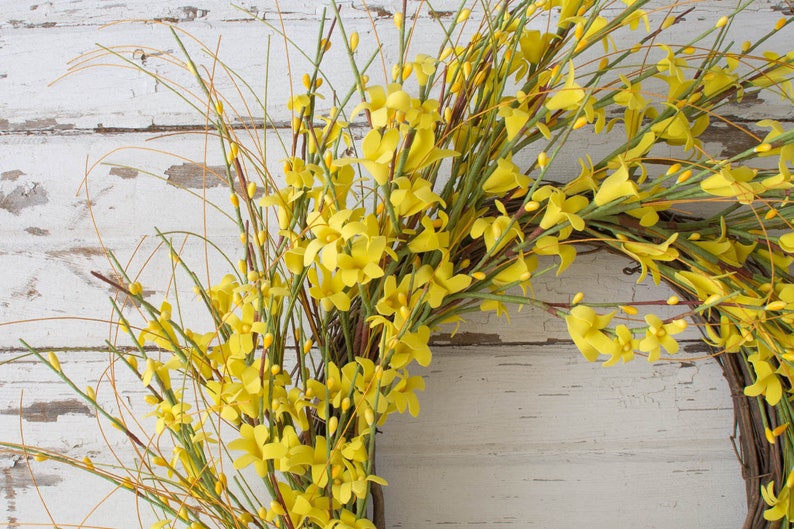 Forsythia Yellow Wreath Modern Farmhouse Decor 22 Inch Wreath image 3