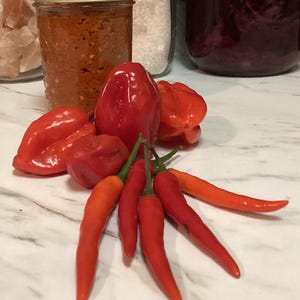 SUPER HOT Red Pepper Paste - Fermented- 8 oz Jar- 1 item