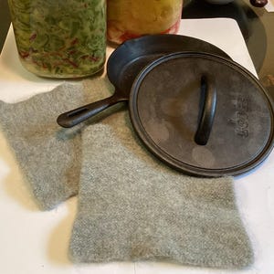 May include: A cast iron skillet with a lid, resting on two gray wool pot holders. The skillet has a handle and the lid has the word "LODGE" embossed on it. Jars of fermented food are in the background.