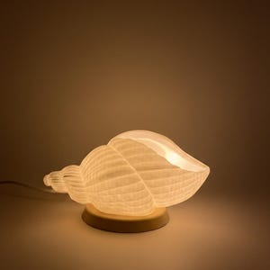 Puede incluir: Lámpara con forma de concha marina blanca que emite un brillo cálido. La lámpara se asienta sobre una base redonda de color crema. La textura acanalada de la concha es visible, y la luz brilla desde el interior.