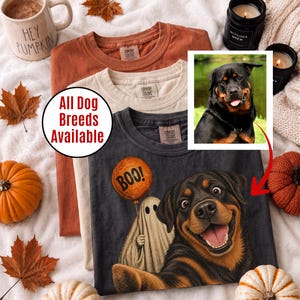 May include: Three t-shirts in rust, cream, and charcoal gray featuring a graphic of a Rottweiler and a ghost holding a balloon with the text BOO!. A circular inset shows a Rottweiler, and text states All Dog Breeds Available. The shirts have Comfort Colors labels.