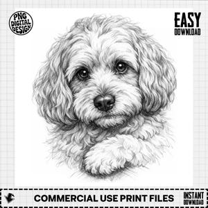 May include: A detailed pencil sketch of a fluffy dog with curly fur, featuring a close-up of its face. The dog has dark eyes and a small nose. The image includes the text "PNG DIGITAL DESIGN" and "EASY DOWNLOAD". The bottom of the image reads "COMMERCIAL USE PRINT FILES".
