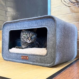 Pode incluir: Uma cama para gatos de feltro cinza com uma abertura retangular, com um gato malhado dentro. A cama tem uma almofada macia de cor creme e uma pequena etiqueta redonda de couro que diz "LUNA". O gato está olhando diretamente para a câmera.