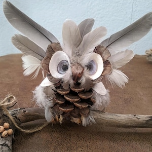 May include: A brown pine cone owl with white feathers and large googly eyes. The owl is perched on a branch.