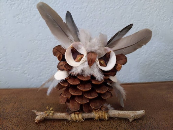 Pine cone owl online
