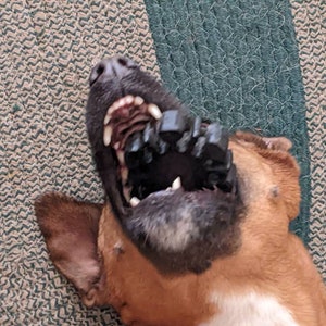 Black Daisy Super Power Dog Chew Toy Heavy Chewer Fun Play Small to Large Bounce Toss Throw Teeth Cleaning Gum Health