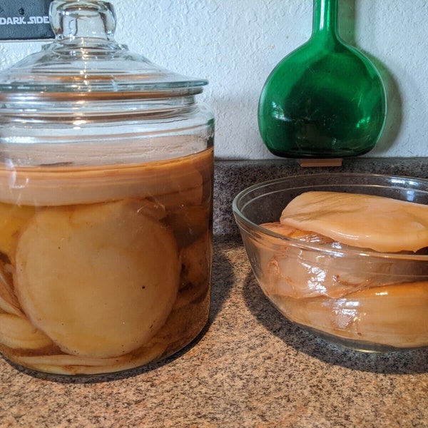 Big KOMBUCHA SCOBY Large Thick Size plus Starter Easy Instructions Organic Black and Green Tea