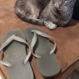 May include: A pair of gray flip-flops with the brand name "havaianas" printed on the straps. The flip-flops are on a brown leather surface.