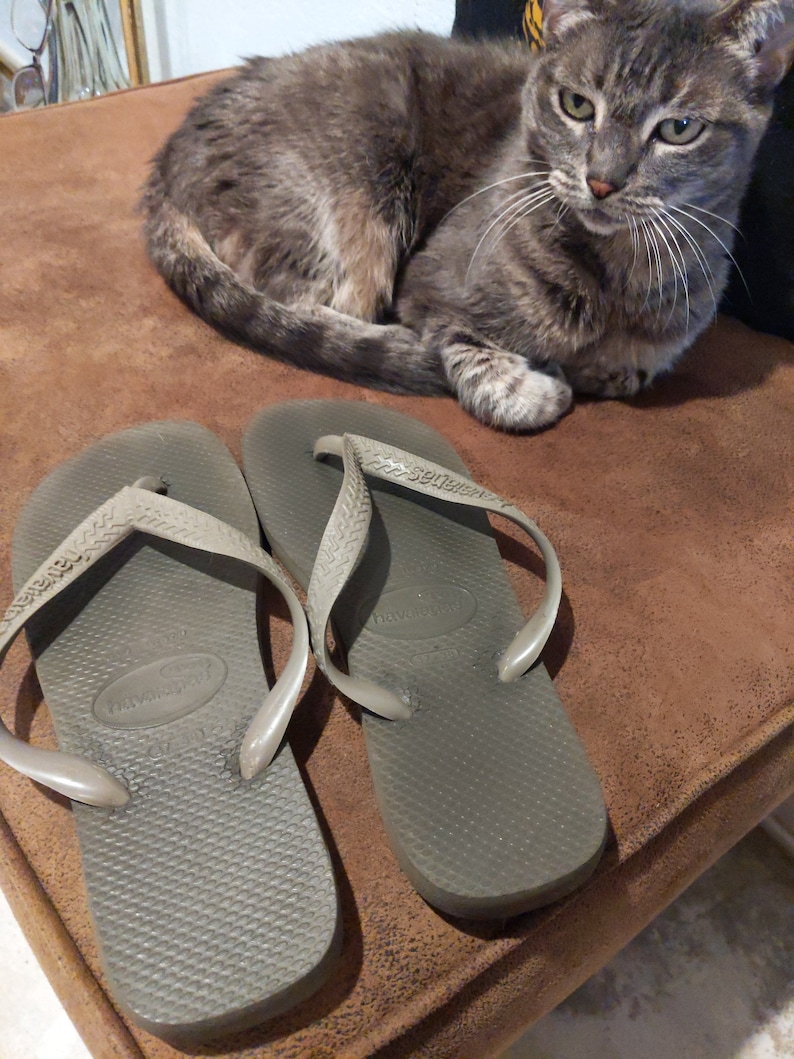 May include: A pair of gray flip-flops with the brand name "havaianas" printed on the straps. The flip-flops are on a brown leather surface.