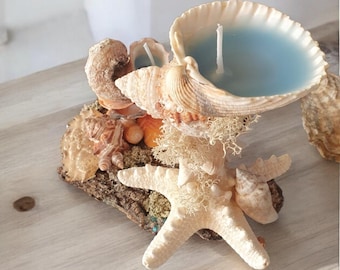 Starfish Glow – Seashell Candle Arrangement, Driftwood & Starfish Decor, Handmade Ocean Centerpiece with Soy Wax Candles