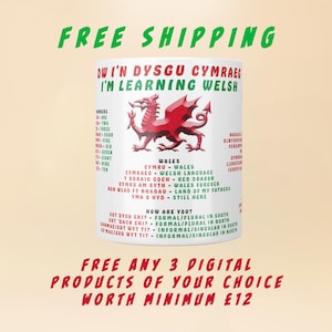 WELSH LANGUAGE MUG Learn Cymraeg Coffee Cup Wales Gift Linguistics Study Welsh Words Translation