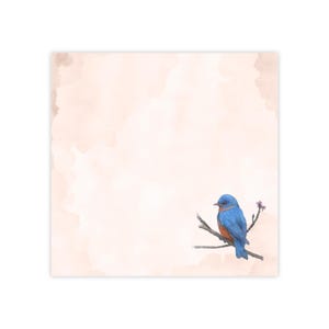 Bluebird Post-it Note Pads |  Hand Drawn Bird Sticky notes | Nature Stationery Pad | Hand Drawn Bird Stationery | Bird & Floral Memo pad