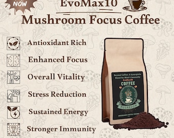 Mushroom Focus Coffee  - Lion’s Mane & Chaga 4oz