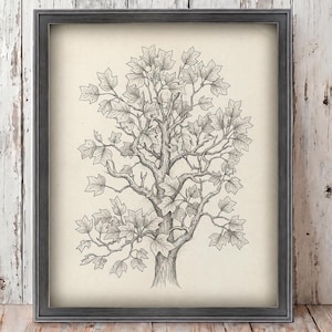 Maple Leafy Tree Framed Wall Art Print