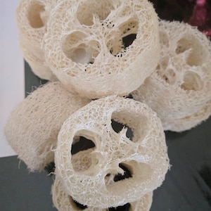 1&quot;  Loofah Cuts, Natural Sponge Exfoliant, Luffah, Luffa, Loofa, Soap Embed - Lot of 5 - Homegrown - Organic