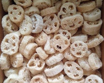 Toni Gonzaga Pouf Perfume Best Seller 1