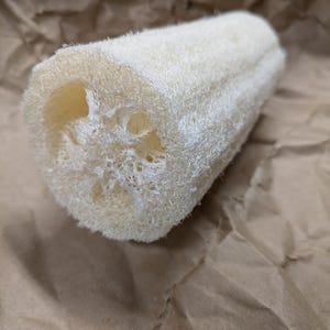 6 Inch Natural Organic Homegrown Luffa  - Loofa Sponge Bath Shower