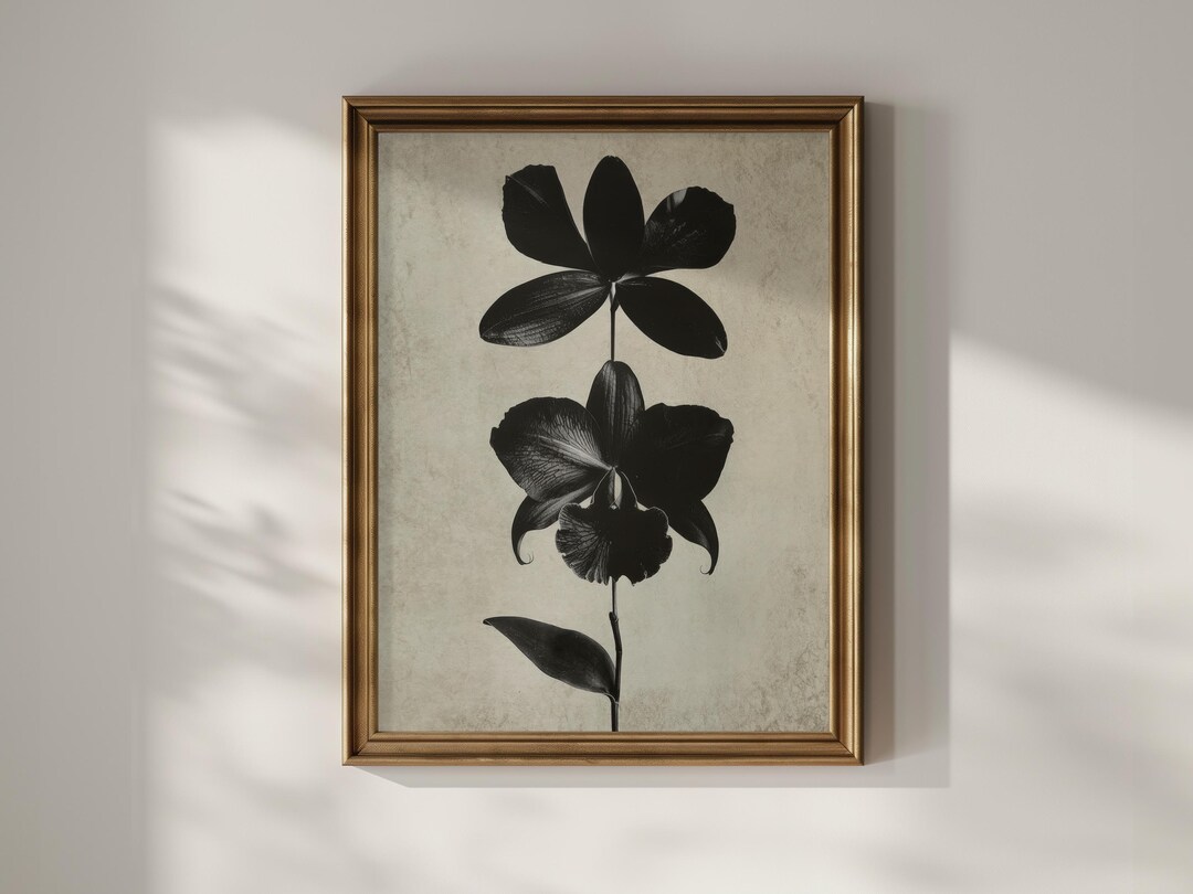 Vintage Black Orchid Print - Dark Academia Wall Art - Antique Botanical ...