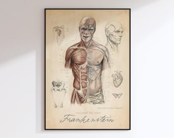 Frankenstein 2025 gotische filmposter – The Monster's Anatomy - Jacob Elordi fanart print DIGITALE DOWNLOAD