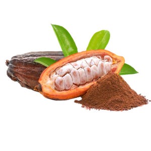 Pode incluir: Imagem de grãos de cacau e cacau em pó. Uma vagem de cacau inteira, marrom escuro, fica ao lado de uma vagem cortada ao meio, revelando os grãos. Há também uma pilha de cacau em pó marrom, com folhas verdes ao fundo.
