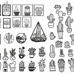 Puede incluir: Una colección de ilustraciones en blanco y negro de varios cactus y suculentas. La imagen incluye arte enmarcado, plantas en macetas y un terrario, mostrando diversas formas y tamaños de plantas del desierto.