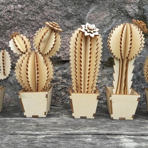 5 pc wooden Cactus for 3 mm. Vector files, for laser cut, cnc, digital files cdr, dxf, eps, ai, plt, svg . Cactus pattern