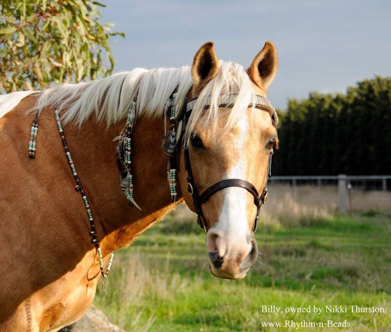 Speed Beads Trail Beads for Horses Horse Lovers SAGEBRUSH SERENADE Horse Beads Rhythm Beads Necklace Horse Necklace Equestrian Tack,